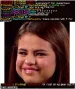 HansMeme2.webp