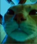 1582824431081.webp