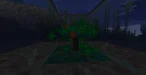 underwater tree planting (3).webp underwater tree planting (3).webp