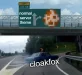 foxmeme (3).webp