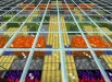 2024-05-31_15.08.53 - Copy.webp 2024-05-31_15.08.53 - Copy.webp