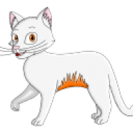 Wildfire_Cats
