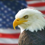 AmericanEagle
