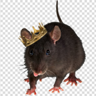 VerminLord317
