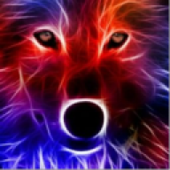 WOlfProgamer678
