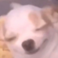 okaylog