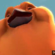 pootis bird#9965