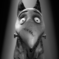 I_am_Sparky