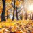 Autumn_Spring1