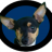 Annon1Gaming