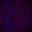 d3static