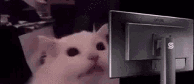 flash-light.gif