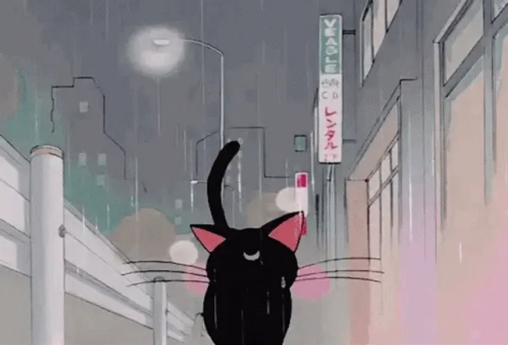 bd8M3.gif